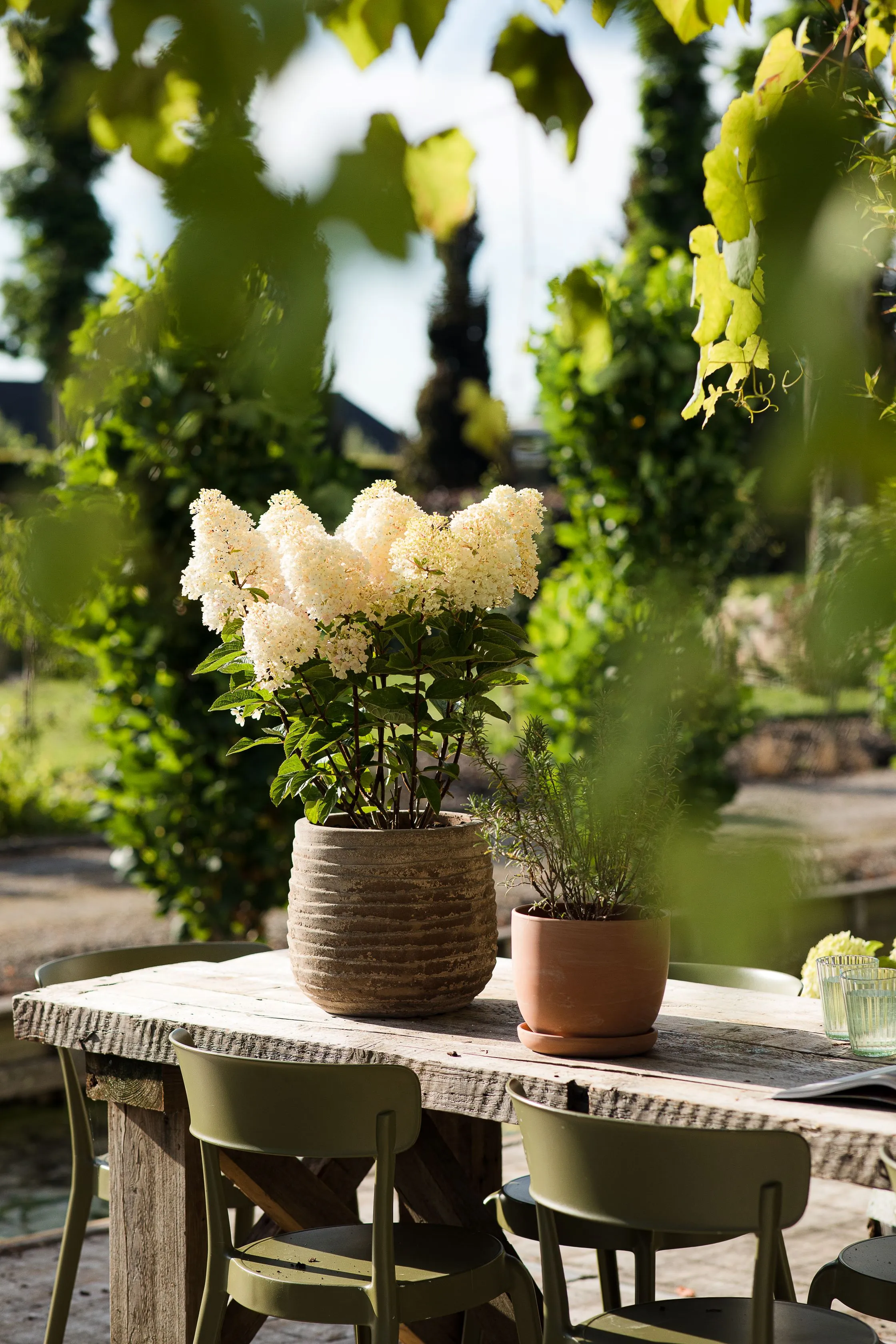 One Floral | Living Creations Little Blossom®